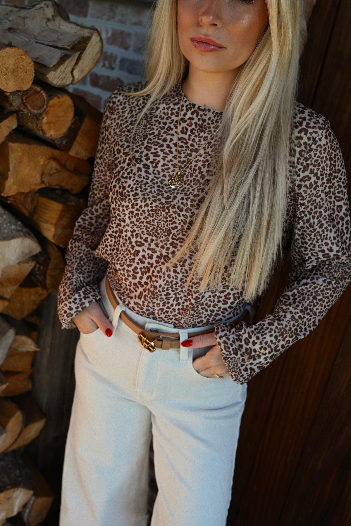 Leopard Mesh Blouse - Beige