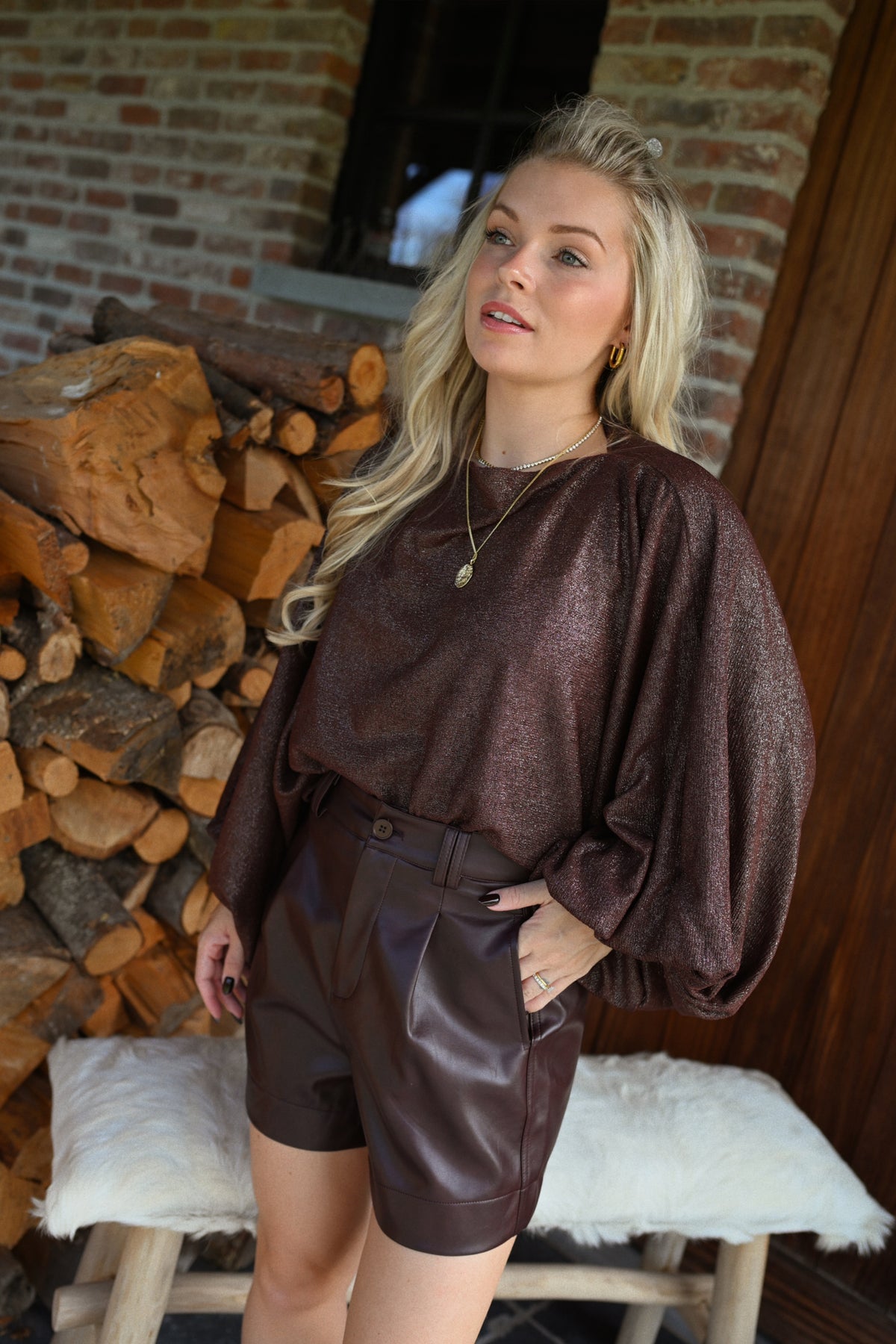 Elisa Glitter Blouse - Bruin
