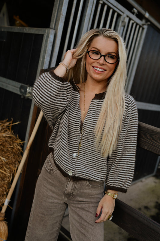 Henri Striped Gilet - Bruin